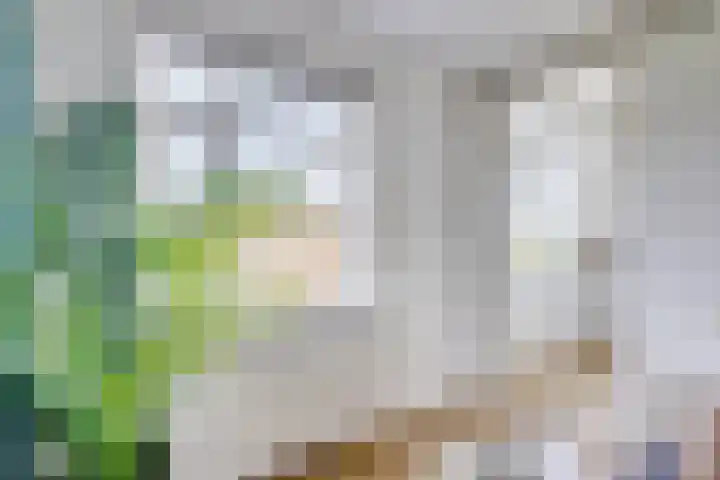 Ridderlaan 27 3 Utrecht thumbnail 14