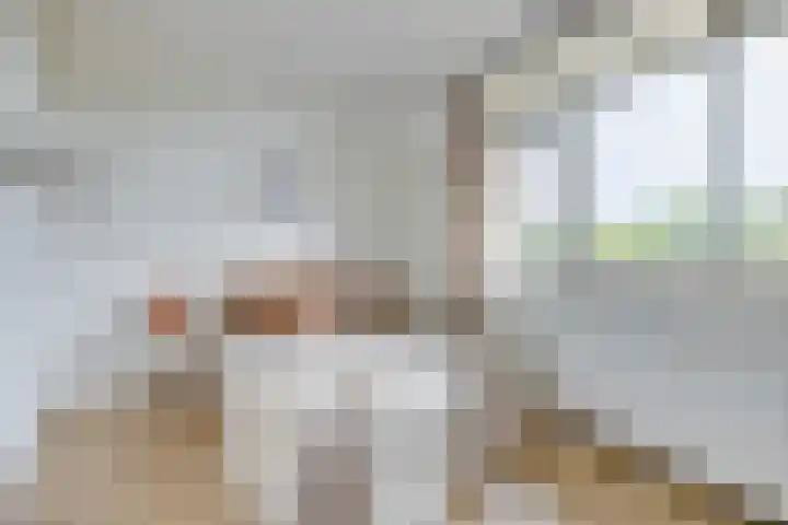 Ridderlaan 27 3 Utrecht thumbnail 20