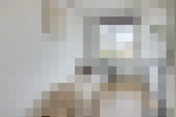 Ridderlaan 27 3 Utrecht thumbnail 23