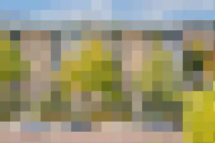 Ridderlaan 27 3 Utrecht thumbnail 26