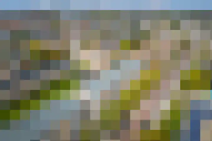 Ridderlaan 27 3 Utrecht thumbnail 28