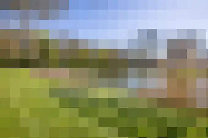 Ridderlaan 27 3 Utrecht thumbnail 30