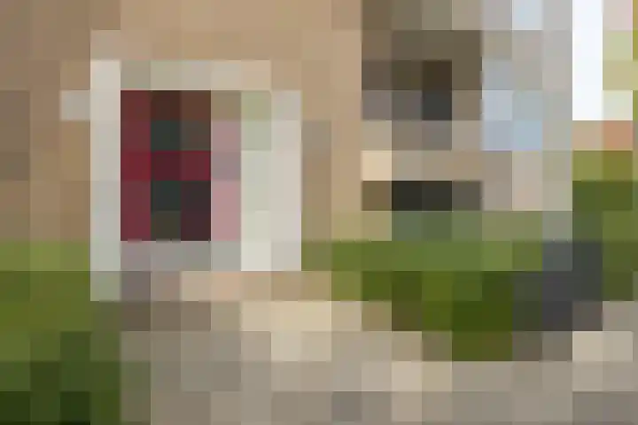 Ridderlaan 27 3 Utrecht thumbnail 4