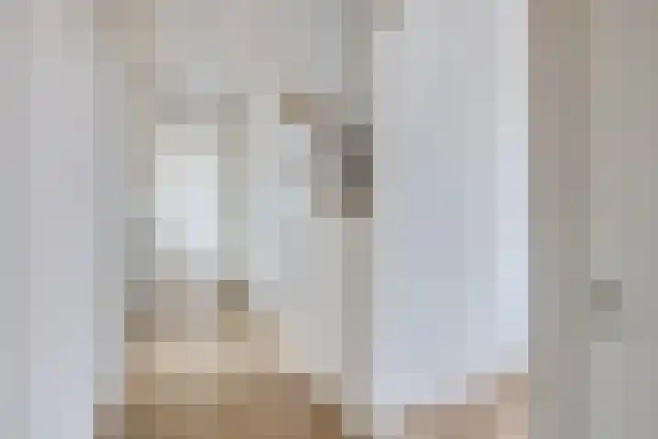 Ridderlaan 27 3 Utrecht thumbnail 5