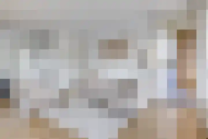 Ridderlaan 27 3 Utrecht thumbnail 8