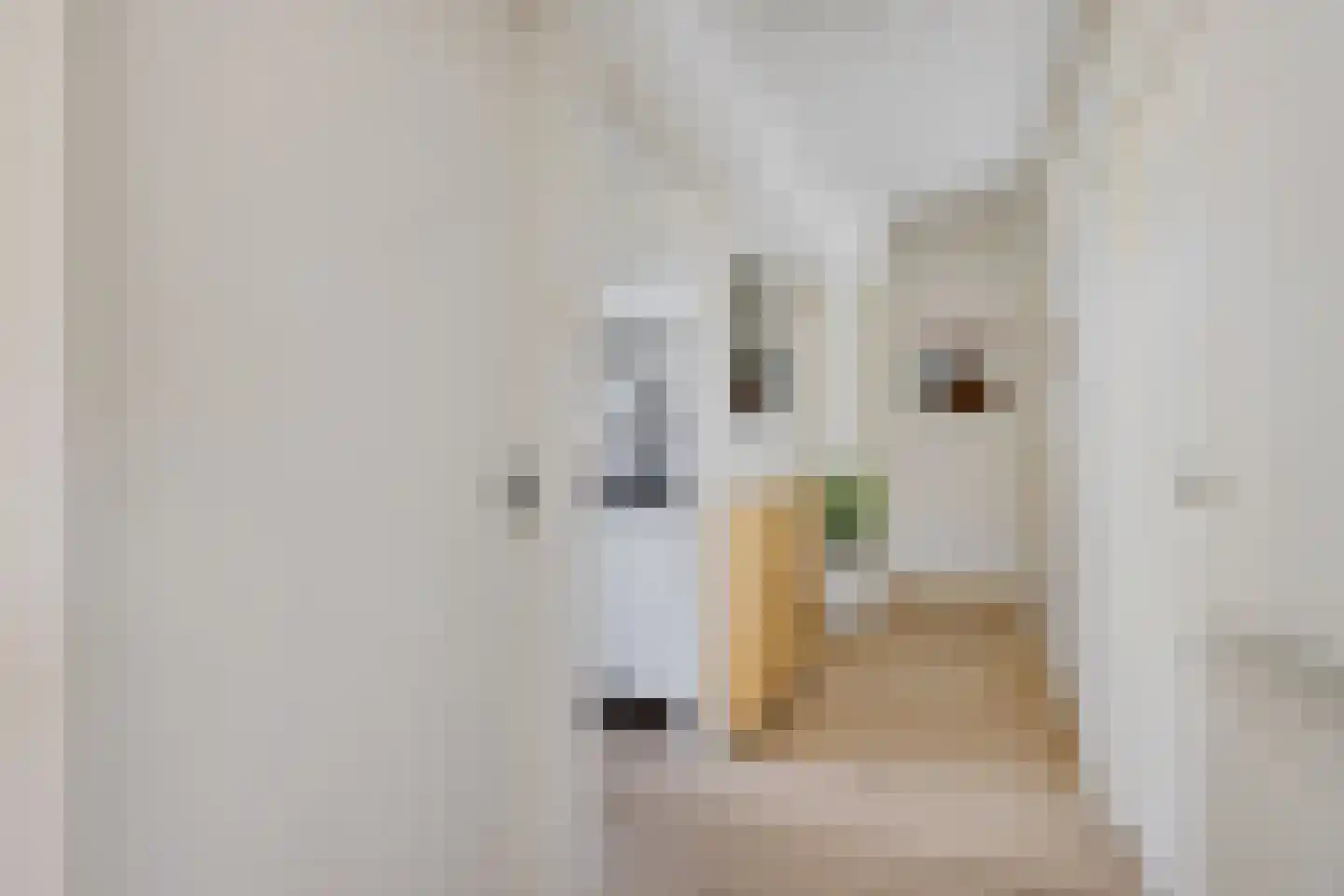 Ridderlaan 31 Utrecht thumbnail 17