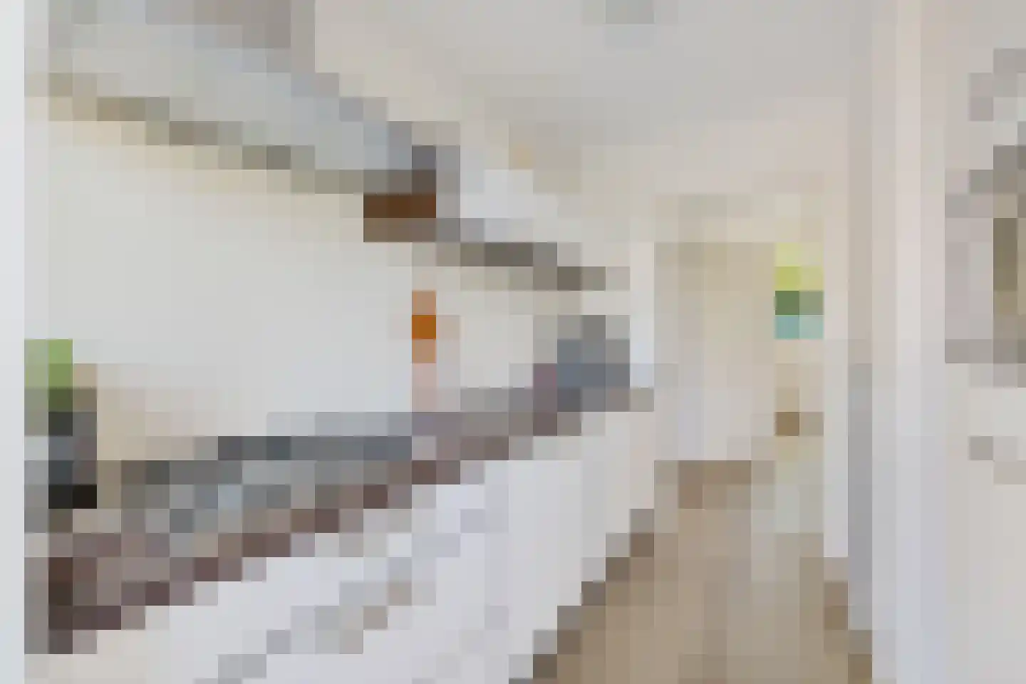 Ridderlaan 31 Utrecht thumbnail 22