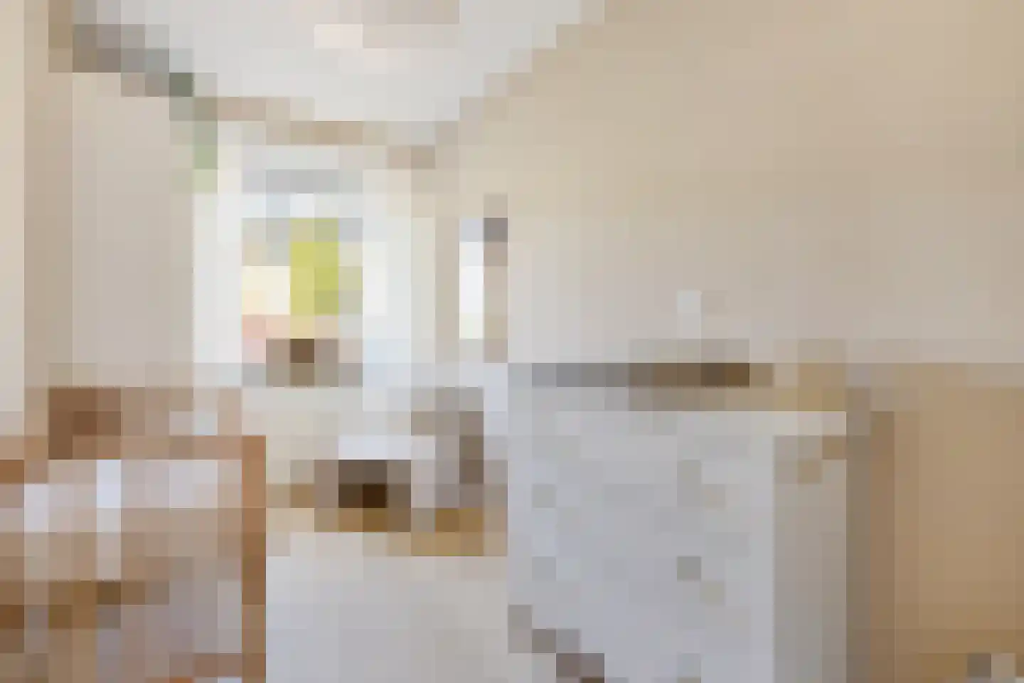 Ridderlaan 31 Utrecht thumbnail 30