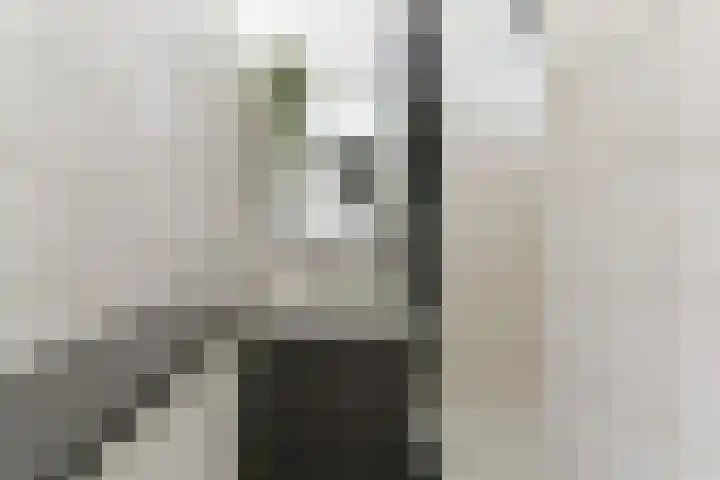 Ridderlaan 33 3 Utrecht thumbnail 27