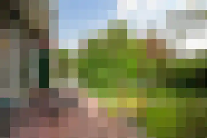Ridderlaan 37 Den Haag thumbnail 21