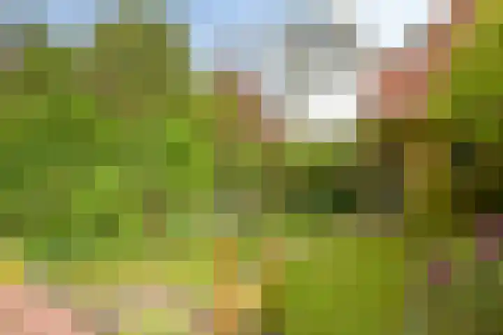 Ridderlaan 37 Den Haag thumbnail 22
