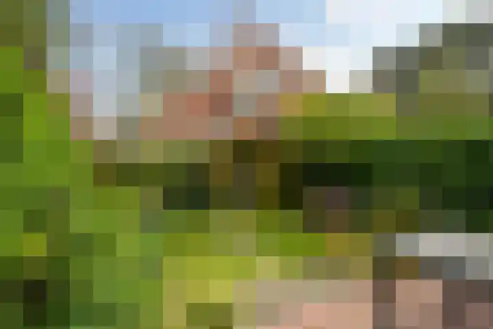 Ridderlaan 37 Den Haag thumbnail 23