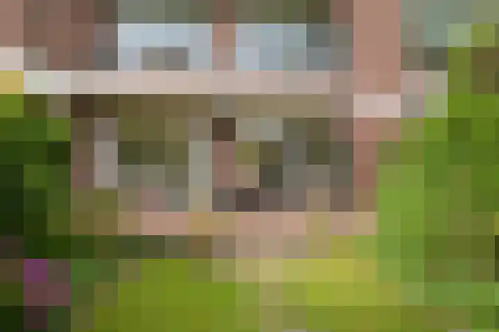 Ridderlaan 37 Den Haag thumbnail 24