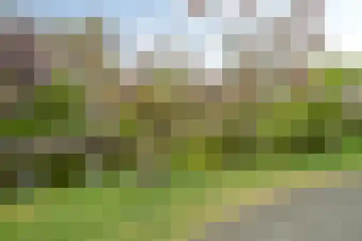Ridderlaan 37 Den Haag thumbnail 30