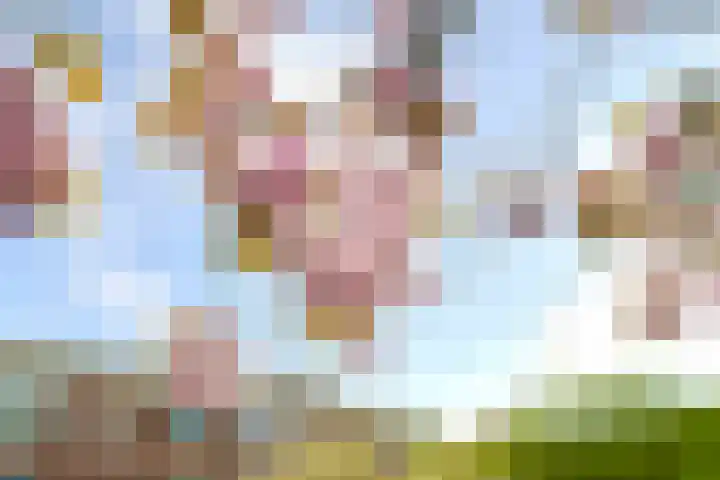 Ridderlaan 37 Den Haag thumbnail 31