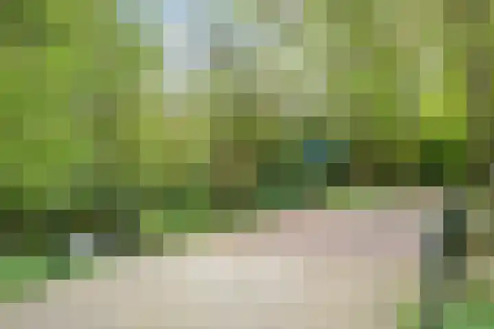 Ridderlaan 37 Den Haag thumbnail 32