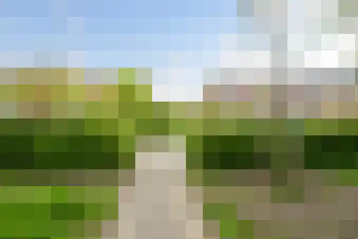 Ridderlaan 37 Den Haag thumbnail 34
