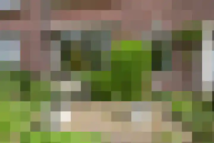 Ridderlaan 37 Den Haag thumbnail 5