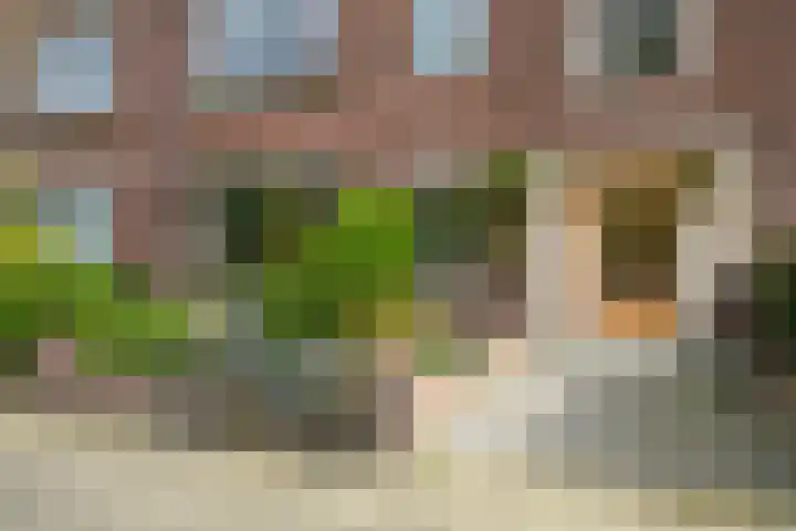 Ridderlaan 37 Den Haag thumbnail 6