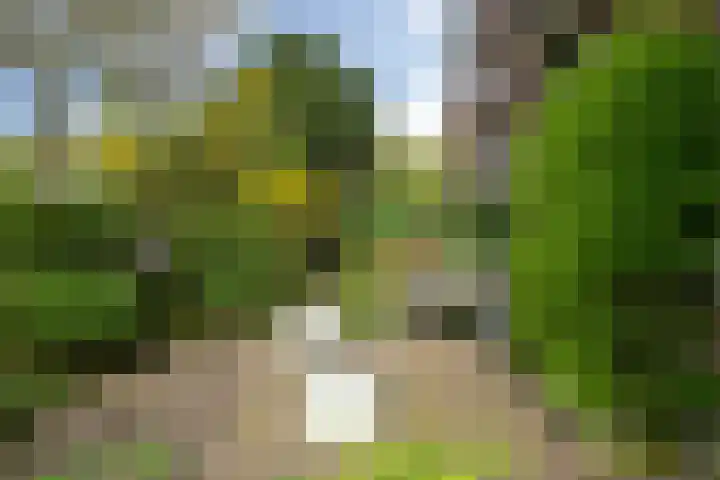 Ridderlaan 37 Den Haag thumbnail 7