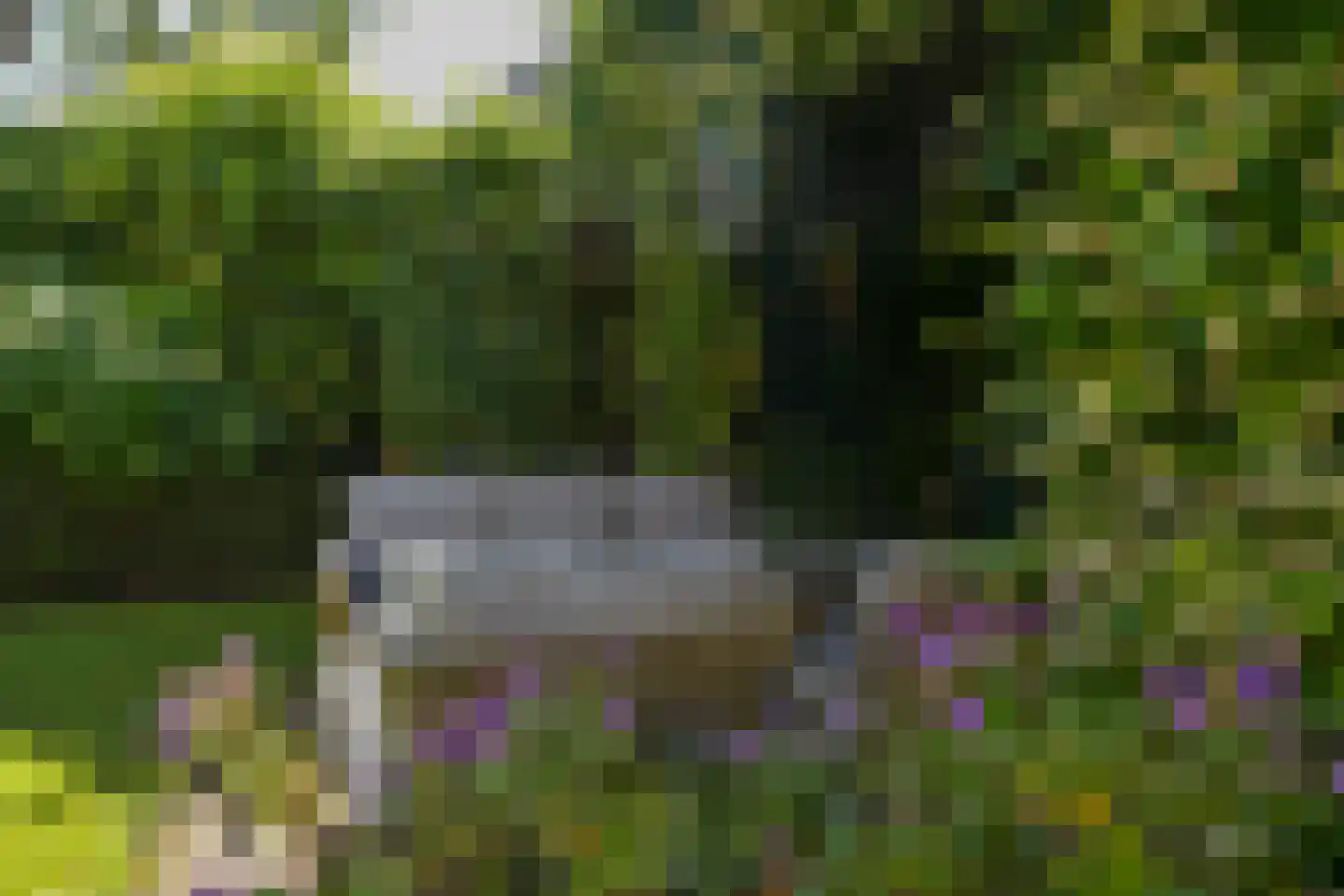 Ridderlaan 4 Wassenaar thumbnail 28