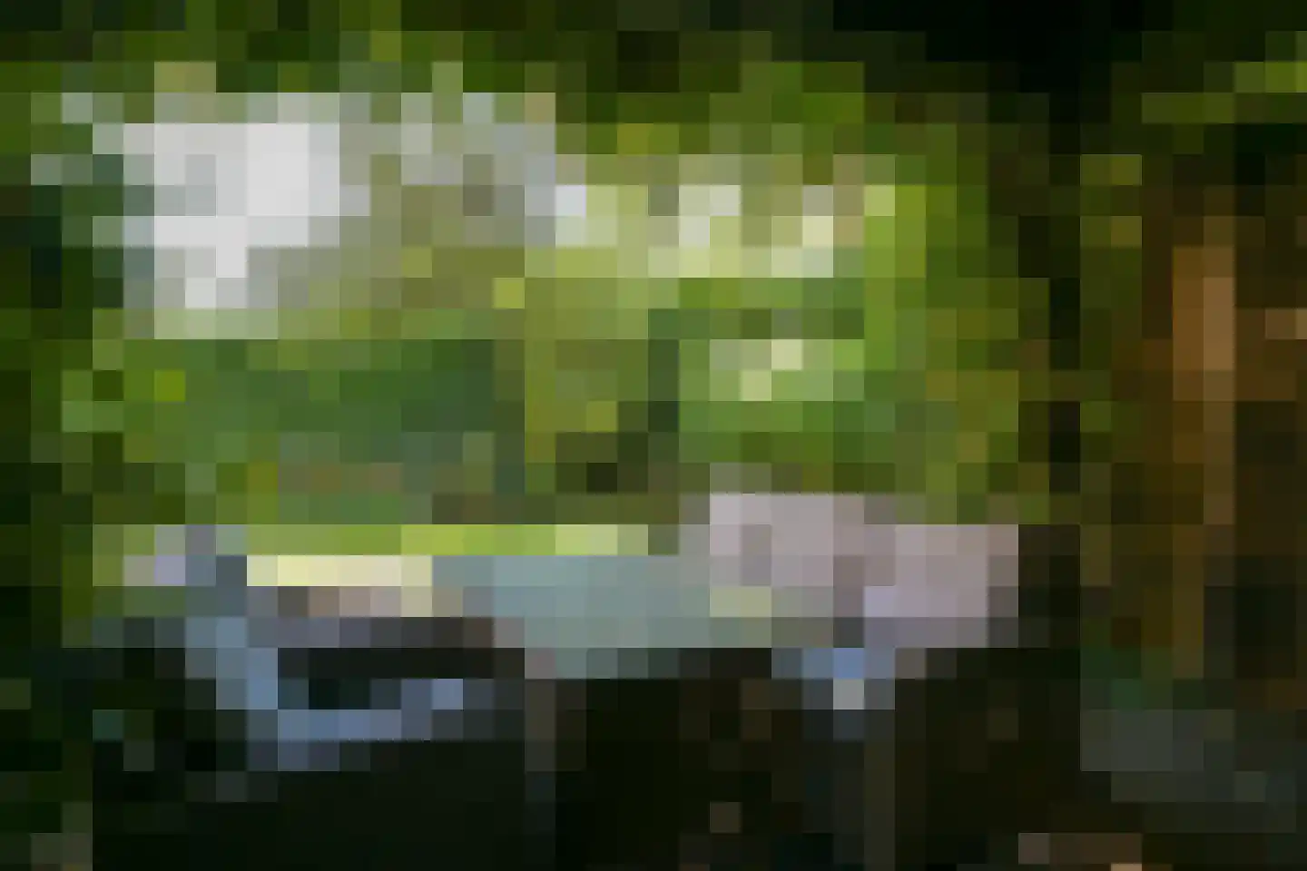 Ridderlaan 4 Wassenaar thumbnail 30
