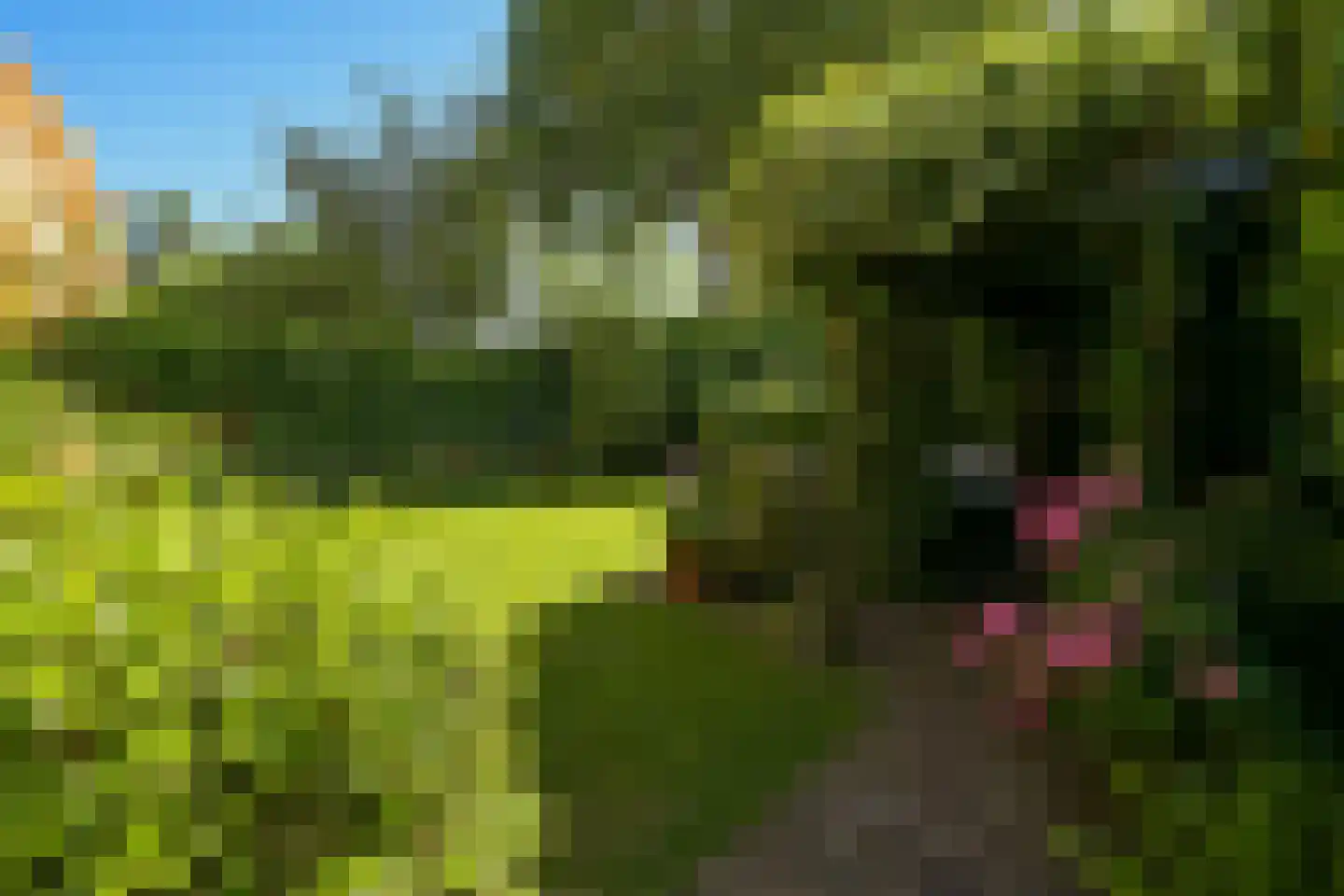 Ridderlaan 4 Wassenaar thumbnail 35