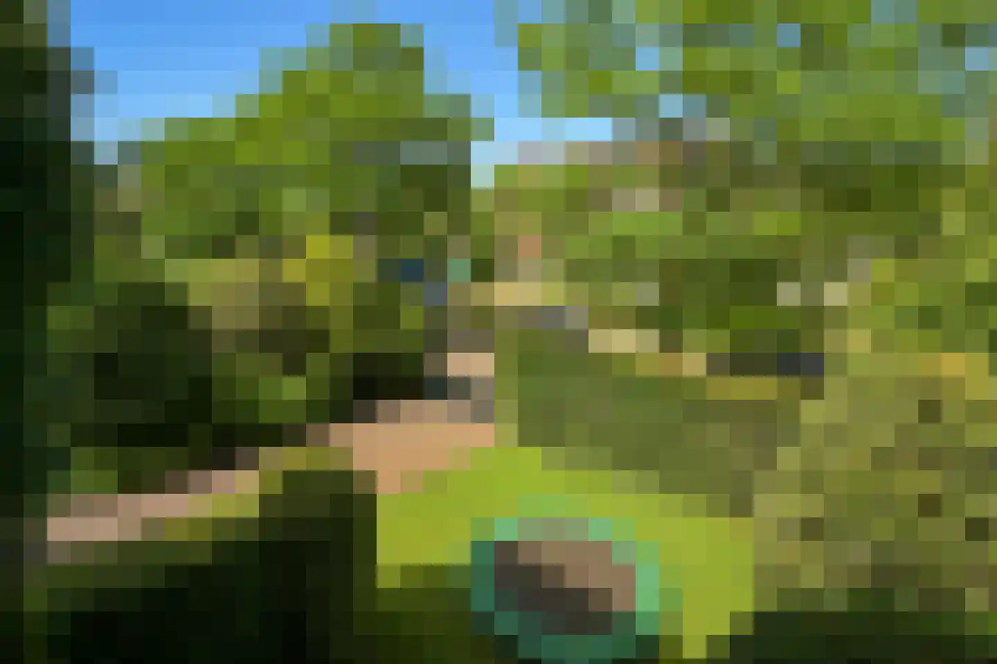 Ridderlaan 4 Wassenaar thumbnail 42