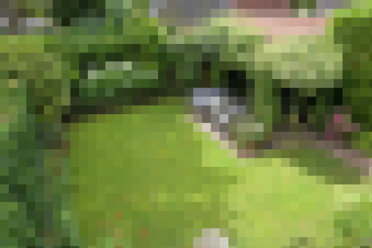 Ridderlaan 4 Wassenaar thumbnail 53