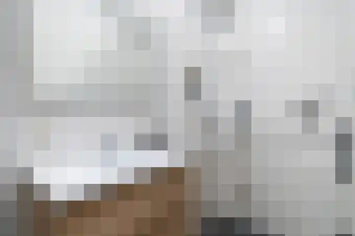Ridderlaan 41 Den Haag thumbnail 21