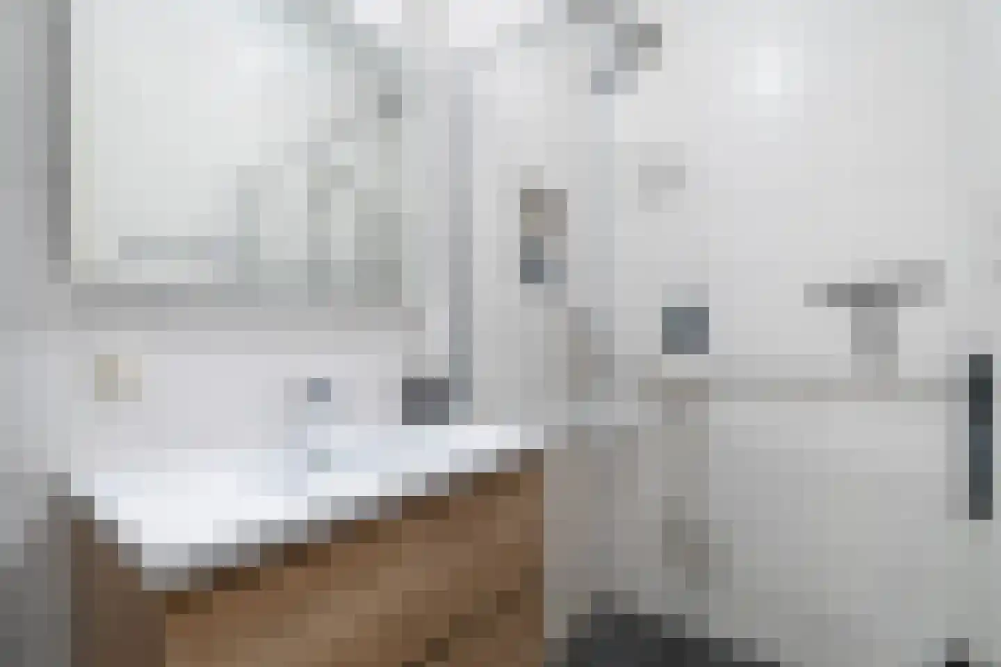 Ridderlaan 41 Den Haag thumbnail 21