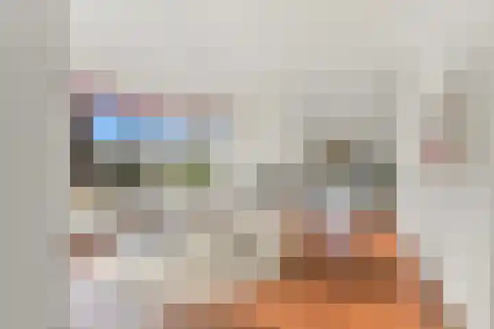 Ridderlaan 73 Den Haag thumbnail 17