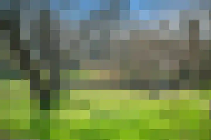 Ridderlaan 73 Den Haag thumbnail 38