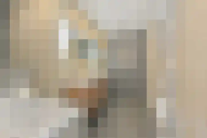 Ridderlaan 73 Den Haag thumbnail 4