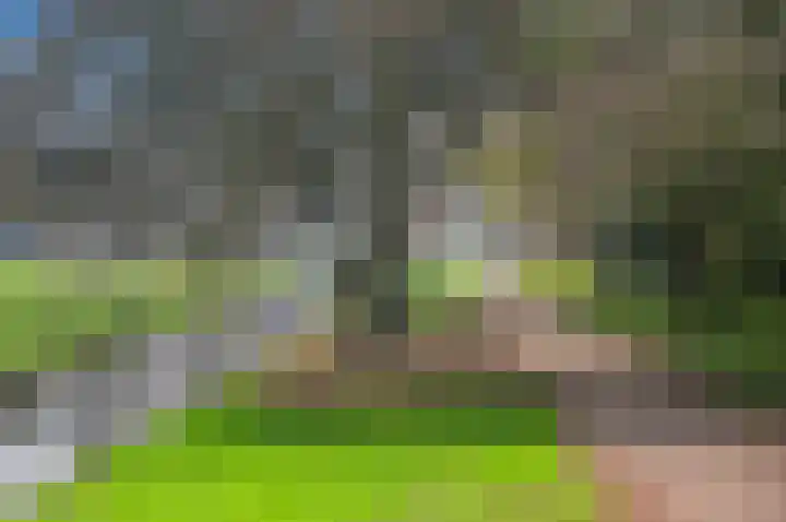 Ridderlaan 73 Den Haag thumbnail 42