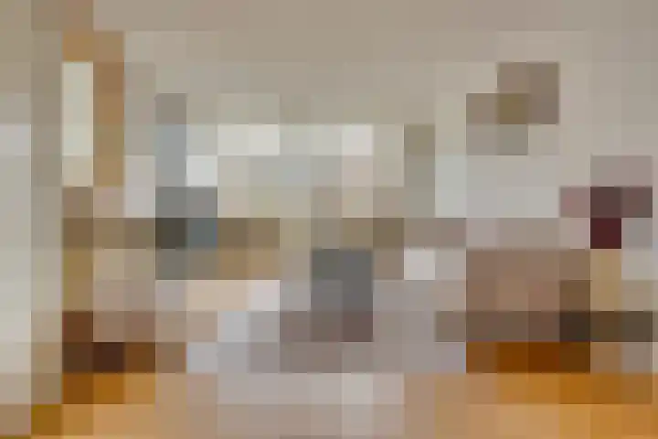 Ridderplantsoen 13 Utrecht thumbnail 10