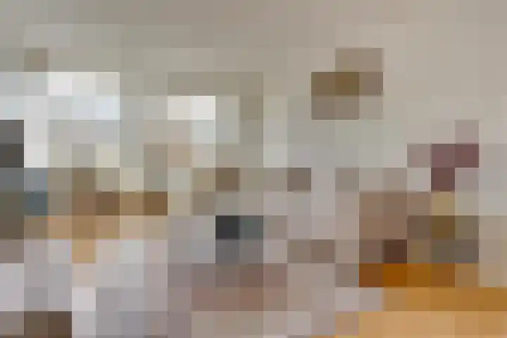 Ridderplantsoen 13 Utrecht thumbnail 11
