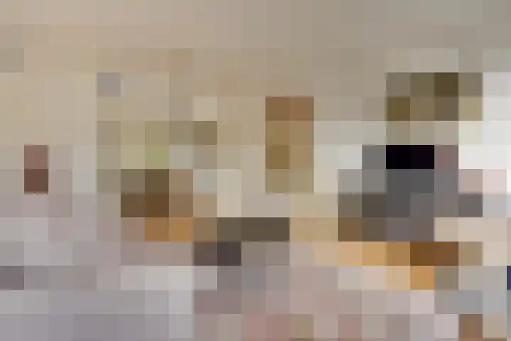Ridderplantsoen 13 Utrecht thumbnail 13