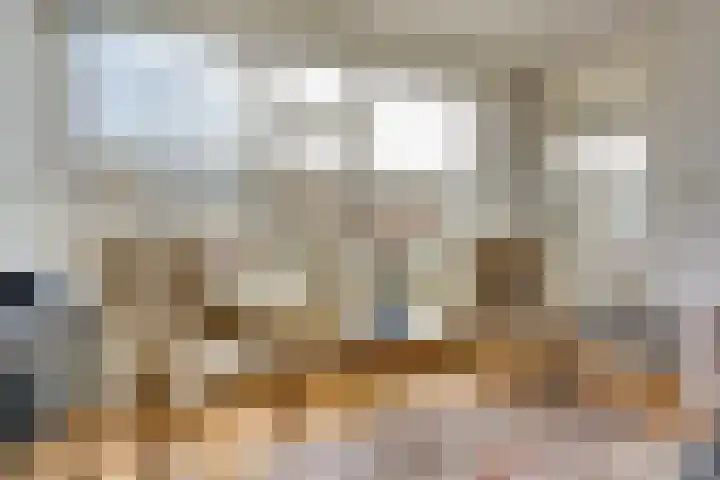Ridderplantsoen 13 Utrecht thumbnail 14