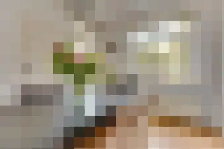 Ridderplantsoen 13 Utrecht thumbnail 16