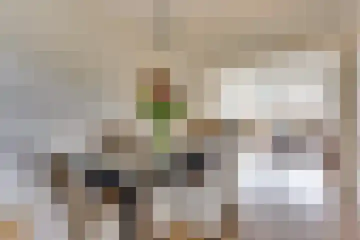 Ridderplantsoen 13 Utrecht thumbnail 17