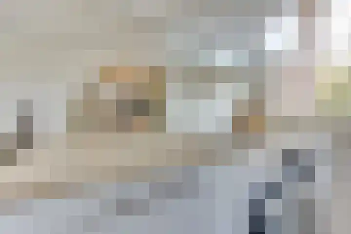 Ridderplantsoen 13 Utrecht thumbnail 20