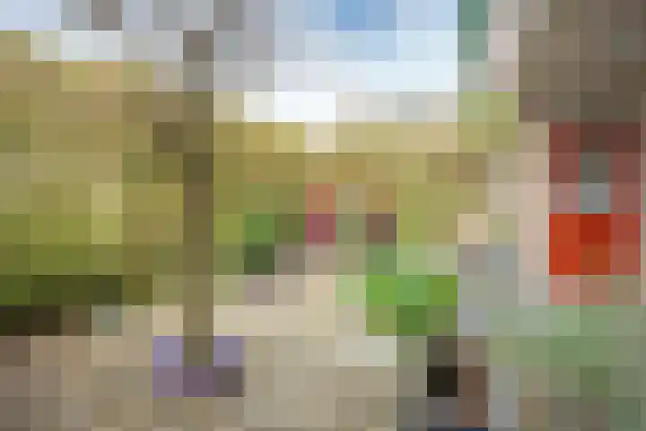 Ridderplantsoen 13 Utrecht thumbnail 25