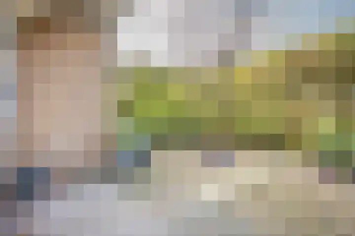 Ridderplantsoen 13 Utrecht thumbnail 26