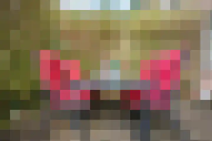 Ridderplantsoen 13 Utrecht thumbnail 28