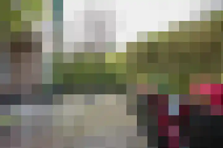 Ridderplantsoen 13 Utrecht thumbnail 29