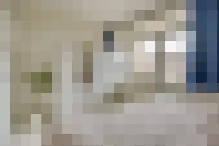Ridderplantsoen 13 Utrecht thumbnail 33