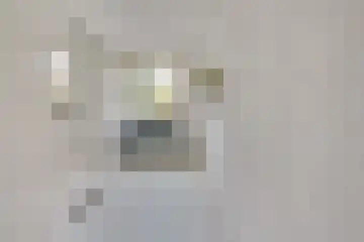 Ridderplantsoen 13 Utrecht thumbnail 35