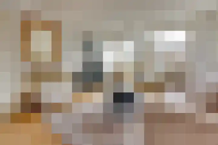Ridderplantsoen 13 Utrecht thumbnail 9