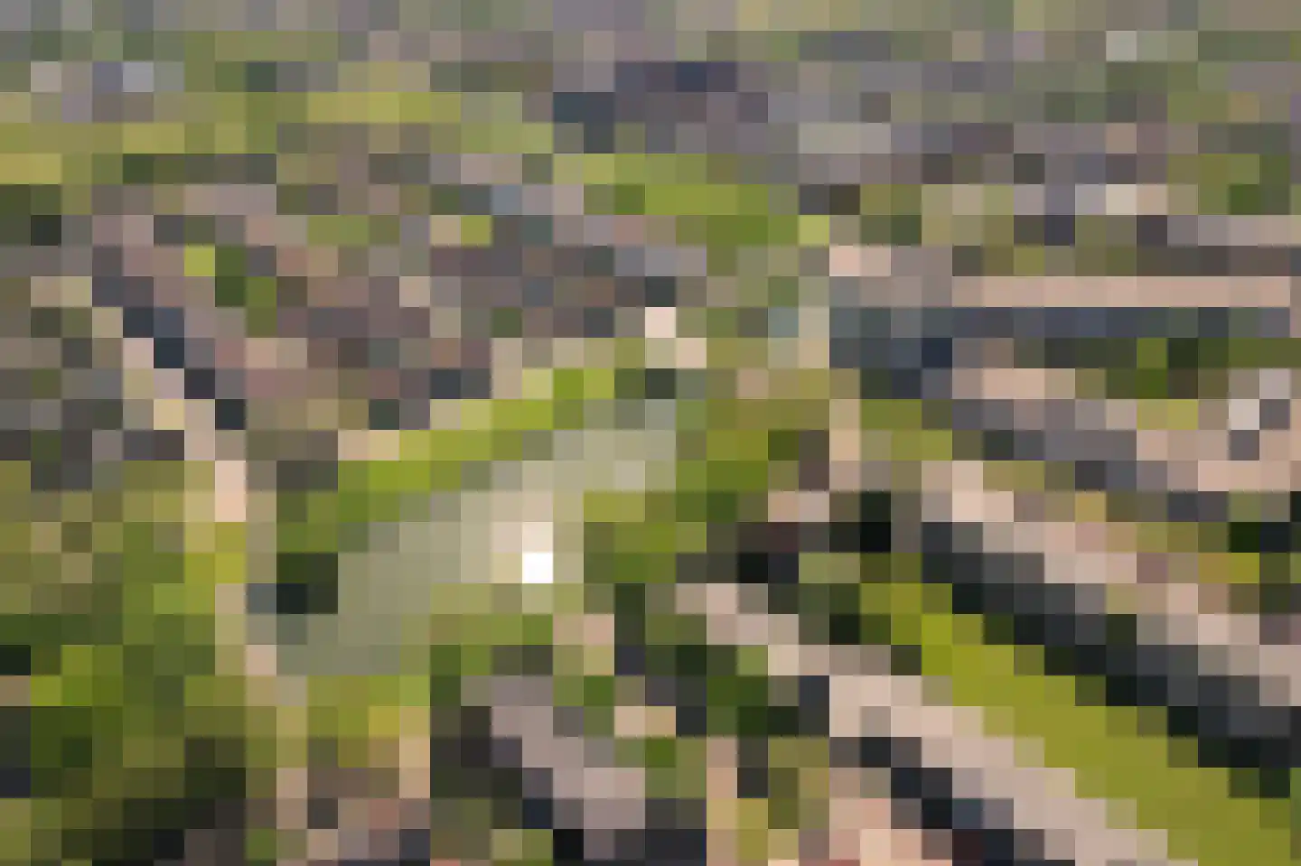 Ridderplantsoen 17 1 Utrecht thumbnail 31